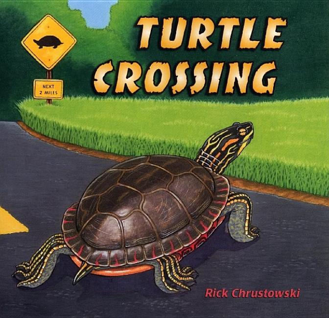 Turtle Crossing