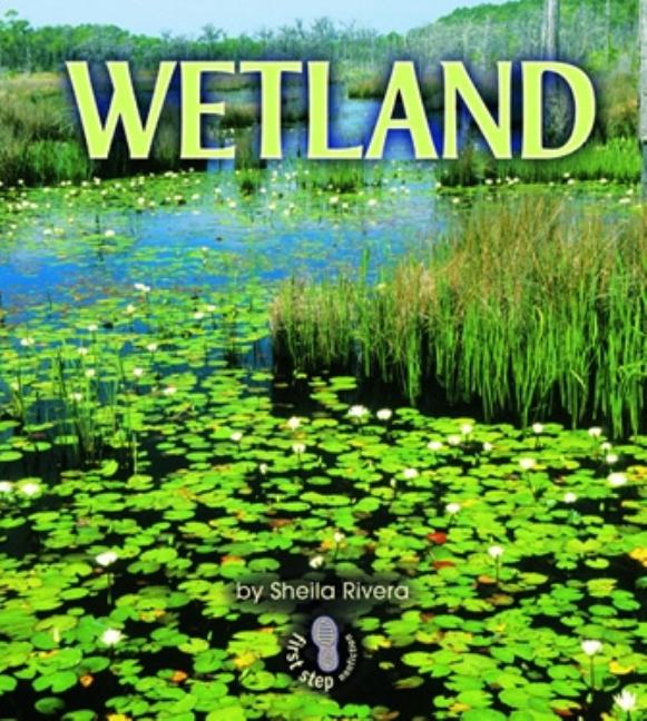 Wetland