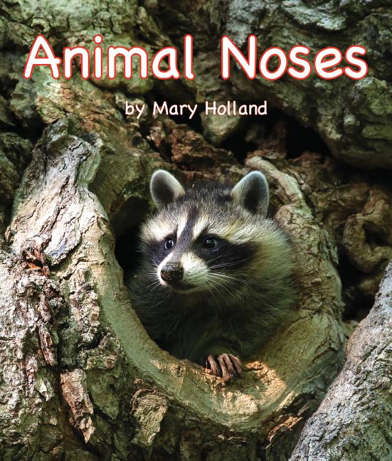 Animal Noses