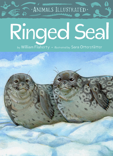 Ringed Seal