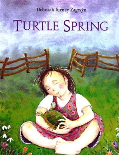 Turtle Spring