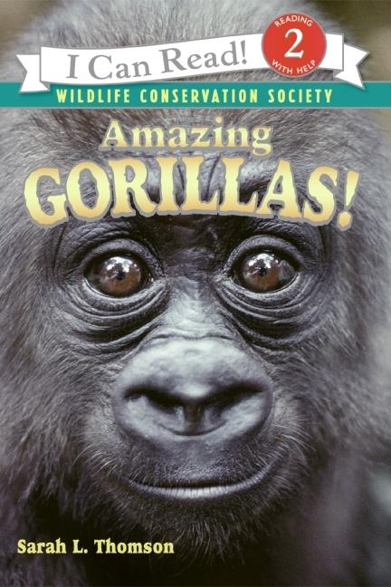 Amazing Gorillas!