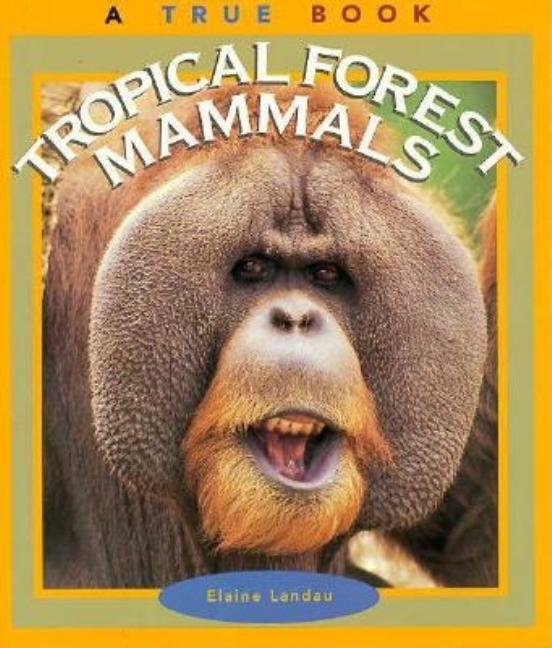 Tropical Forest Mammals