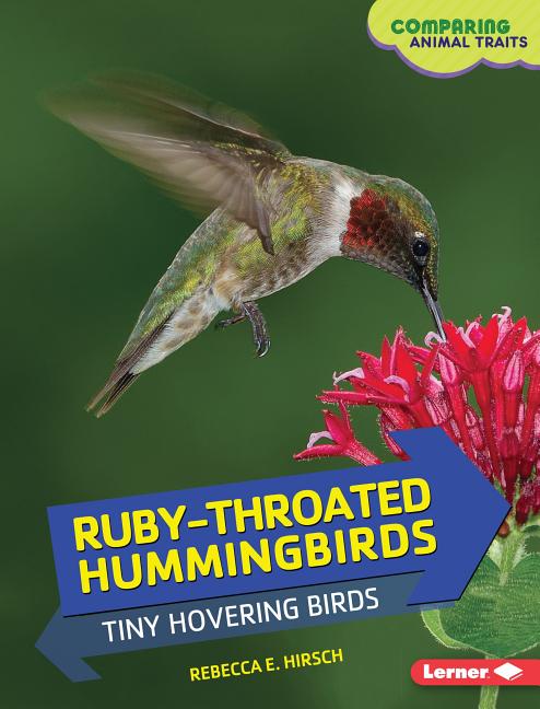 Ruby-Throated Hummingbirds: Tiny Hovering Birds