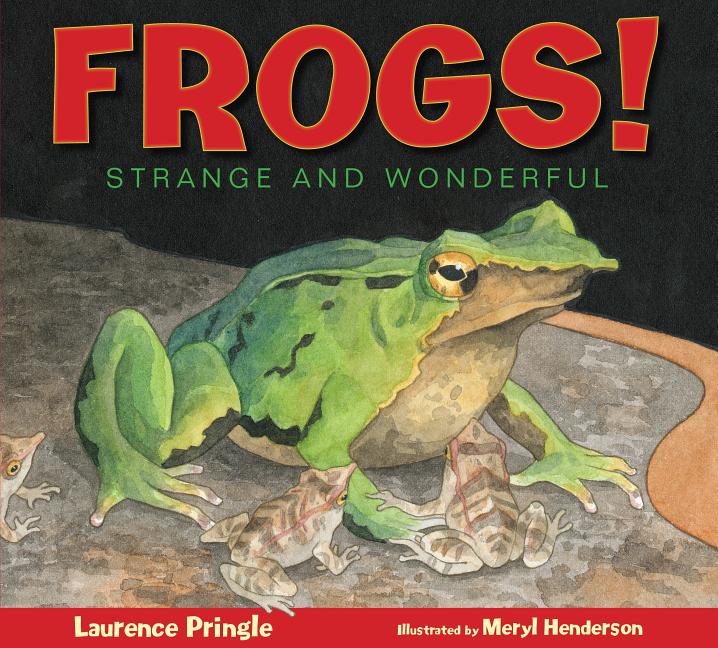 Frogs!: Strange and Wonderful