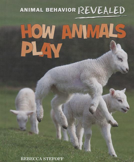 How Animals Play