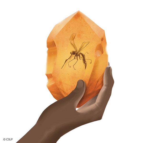 CSLP 2026 Middle Grade English