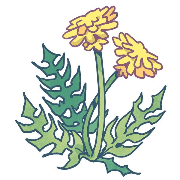 Plant a Seed, Read: iREAD Children