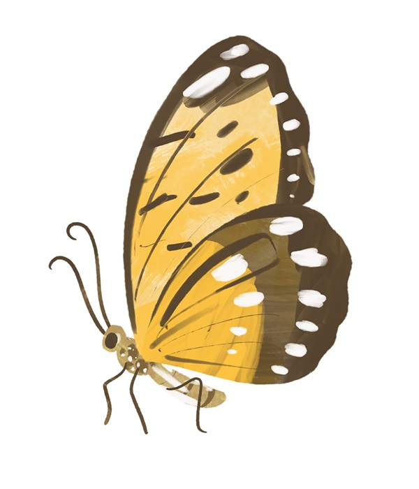 Plant a Seed, Read: iREAD Teen