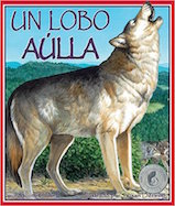 Un lobo aulla