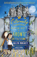 The Extremely Inconvenient Adventures of Bronte Mettlestone