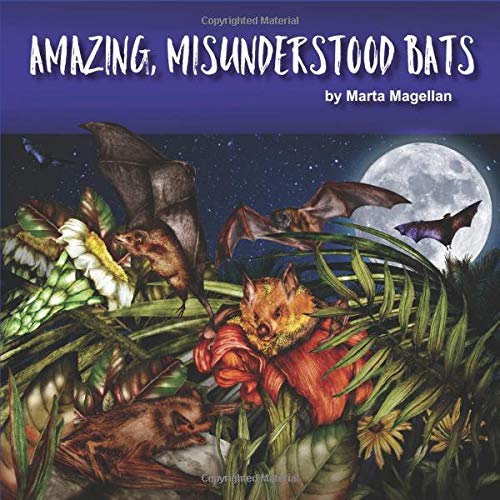 Amazing, Misunderstood Bats